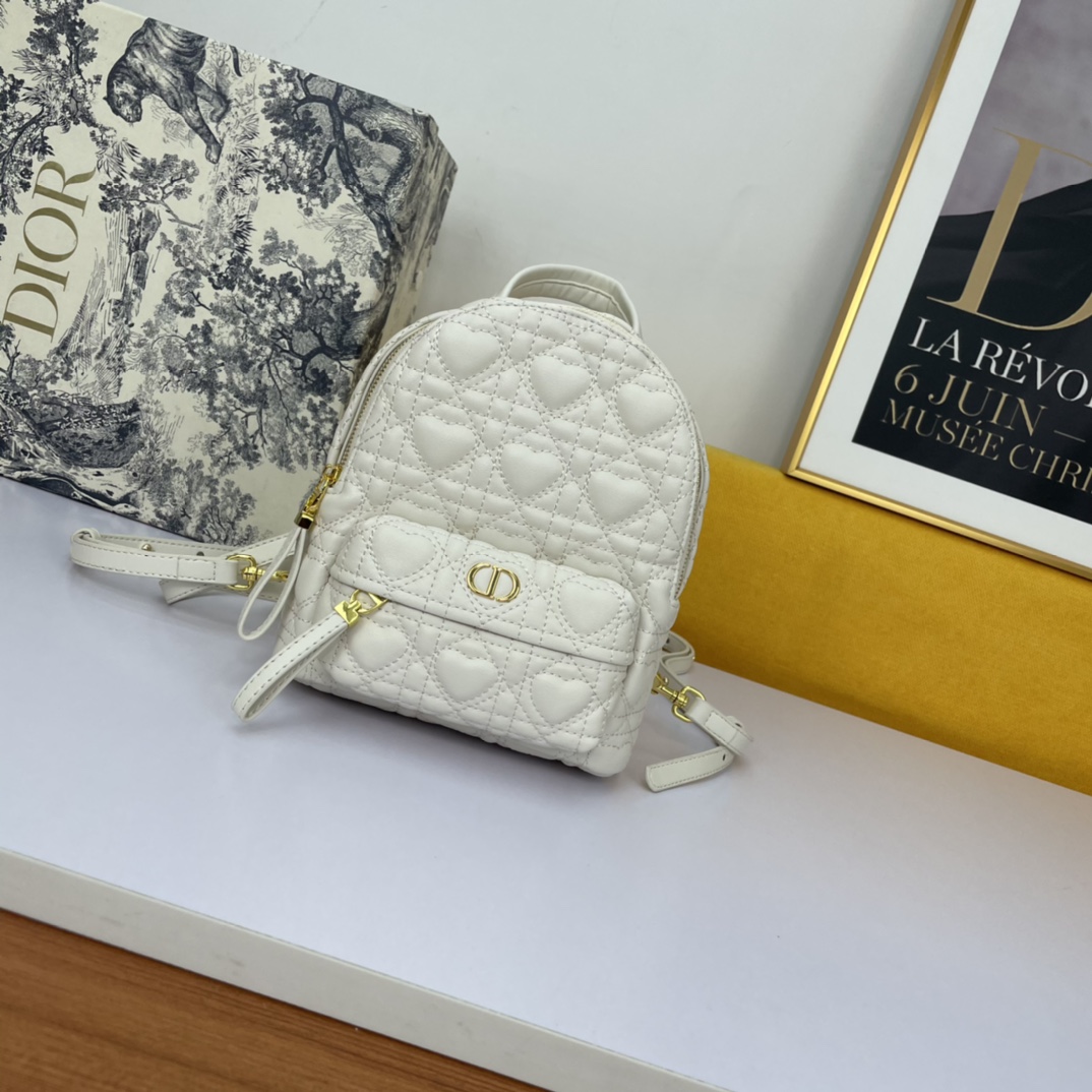 Backpack di Dior Mini Dramour