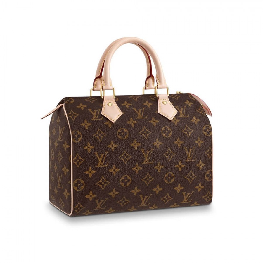 Louis Vuitton Monogram Canvas Speedy 25 M41109