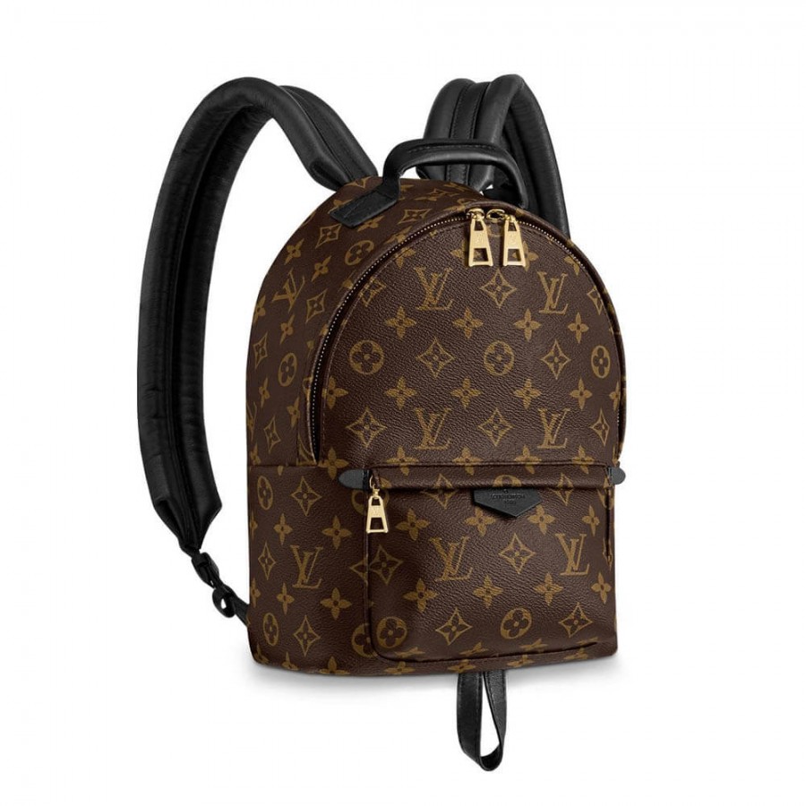 Louis Vuitton Monogram Canvas Palm Springs zaino PM M41560