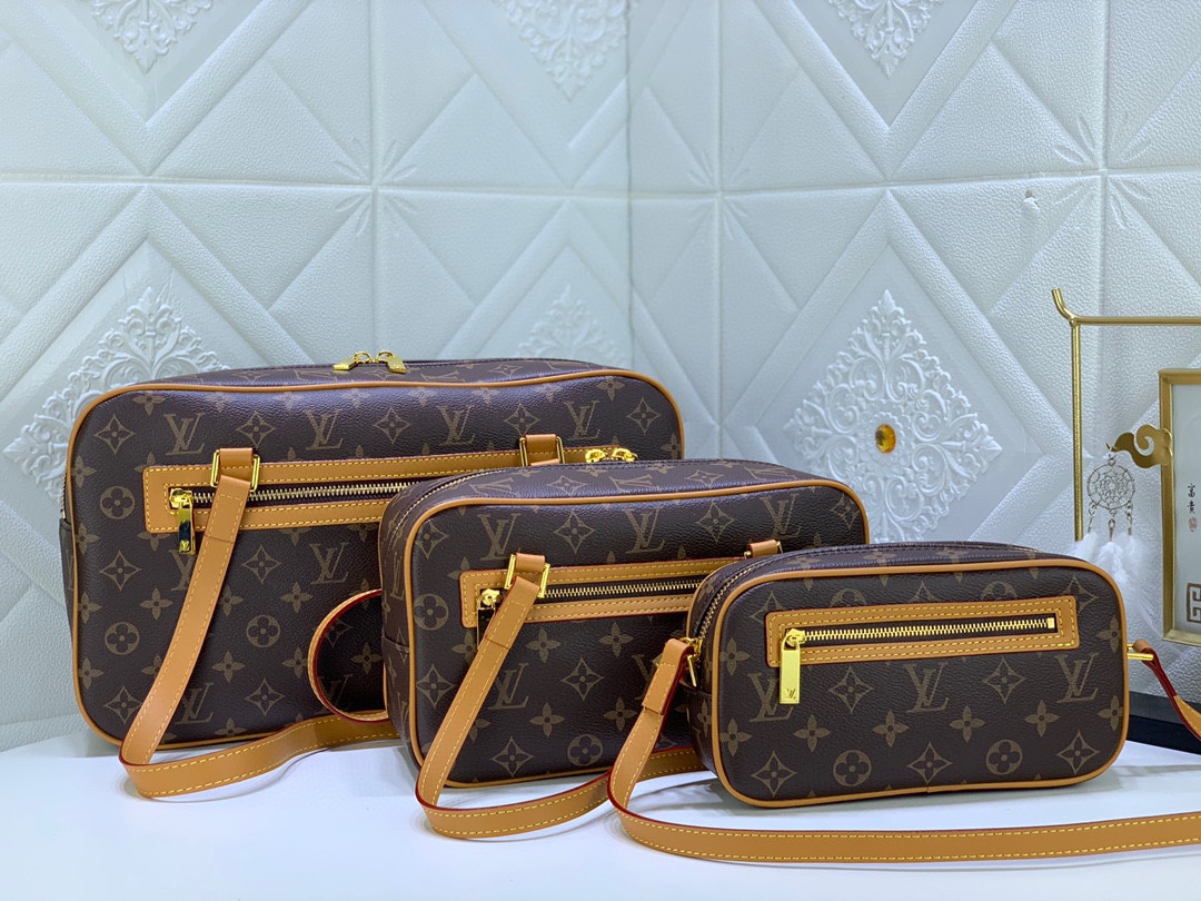 Louis Vuitton Monogram Pocchette cita spalla